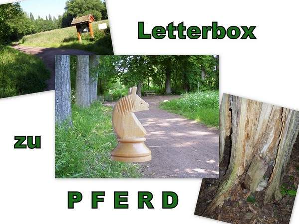 Letterbox zu Pferd